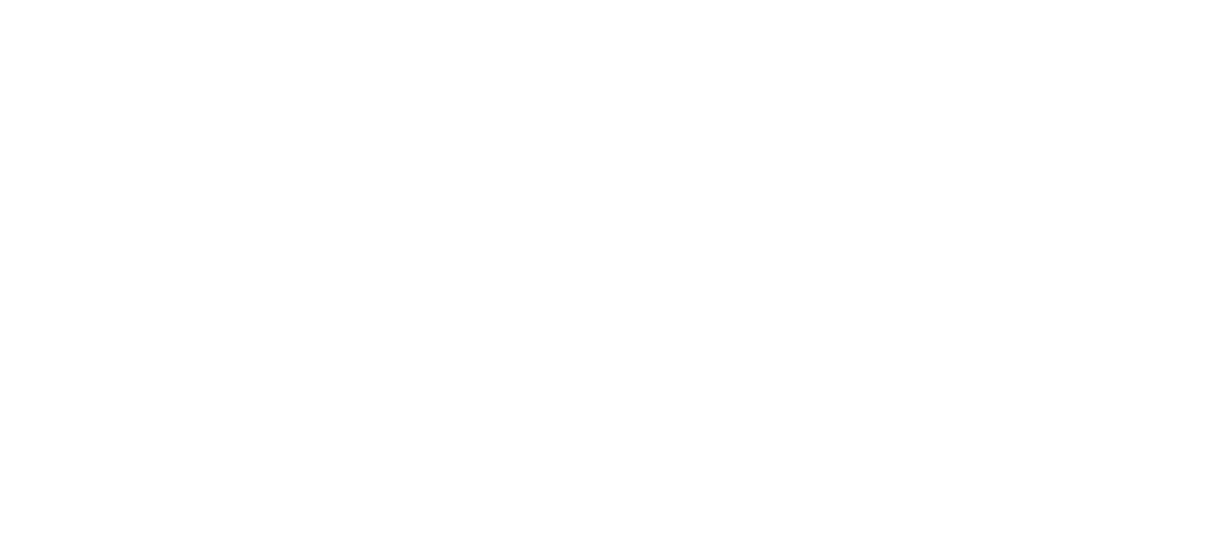 Dusy Professional